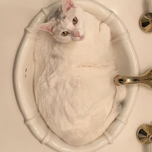 Meet your Posher, Jonathan